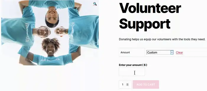 Volunteer support donation page