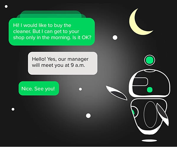 Chatbot interaction example