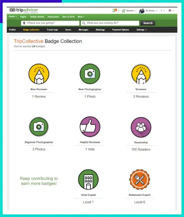 TripAdvisor badge collection
