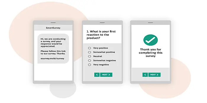 Feedback survey example