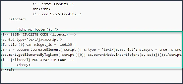 JivoChat code