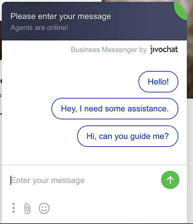 JivoChat app example of preset messages