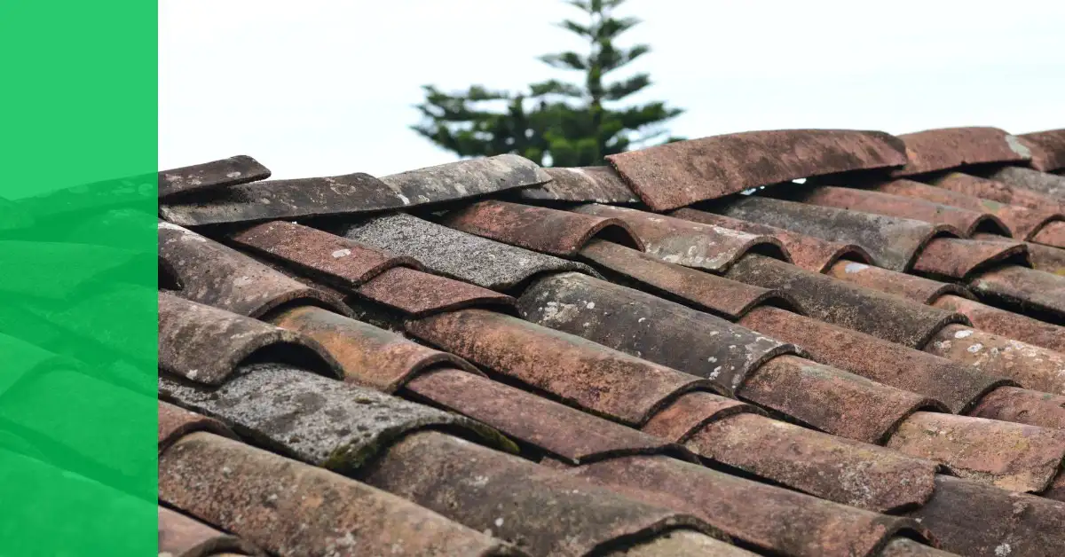 roofing-leads