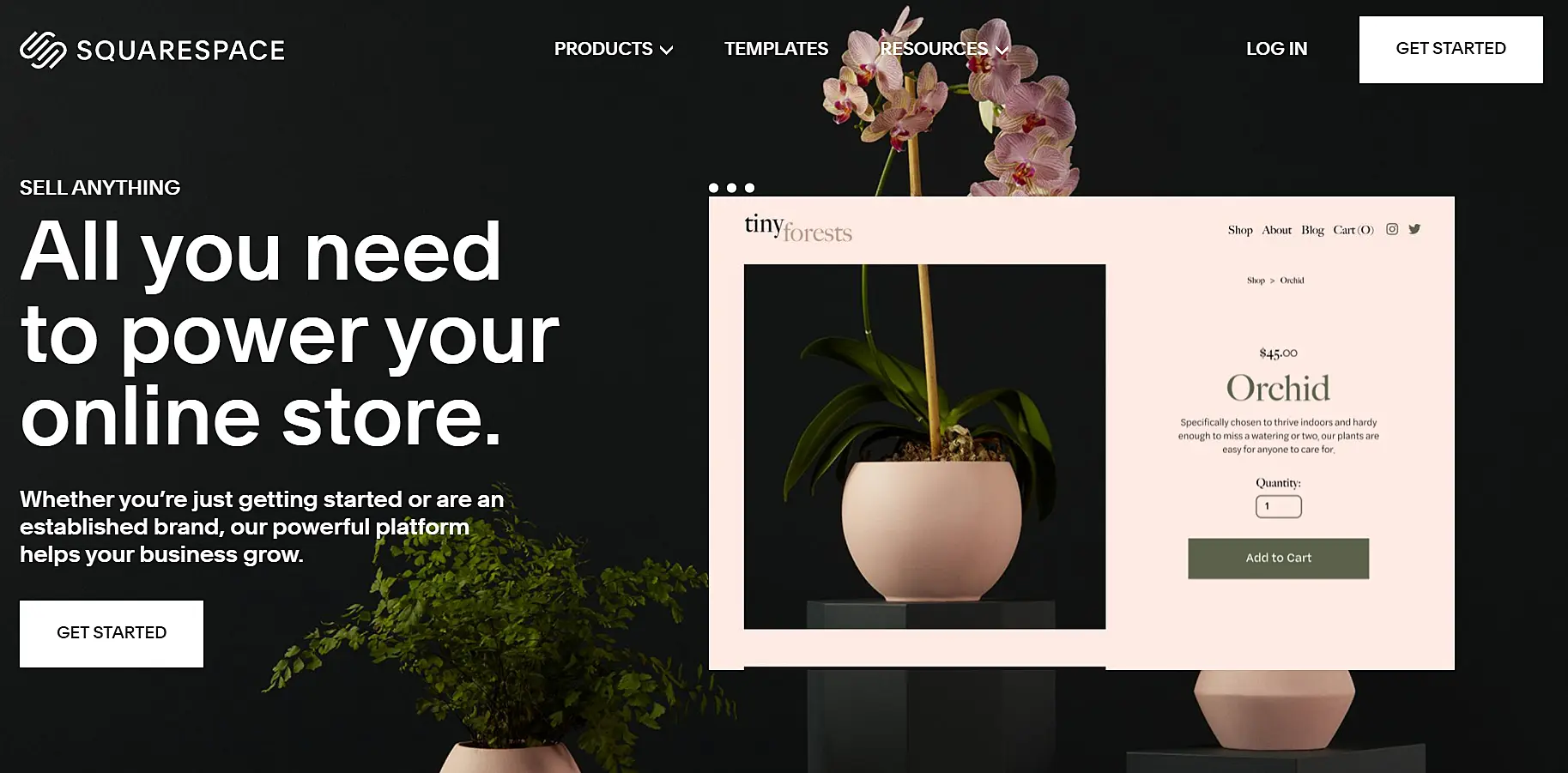 SquareSpace website
