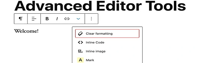 Advanced Editor Tools