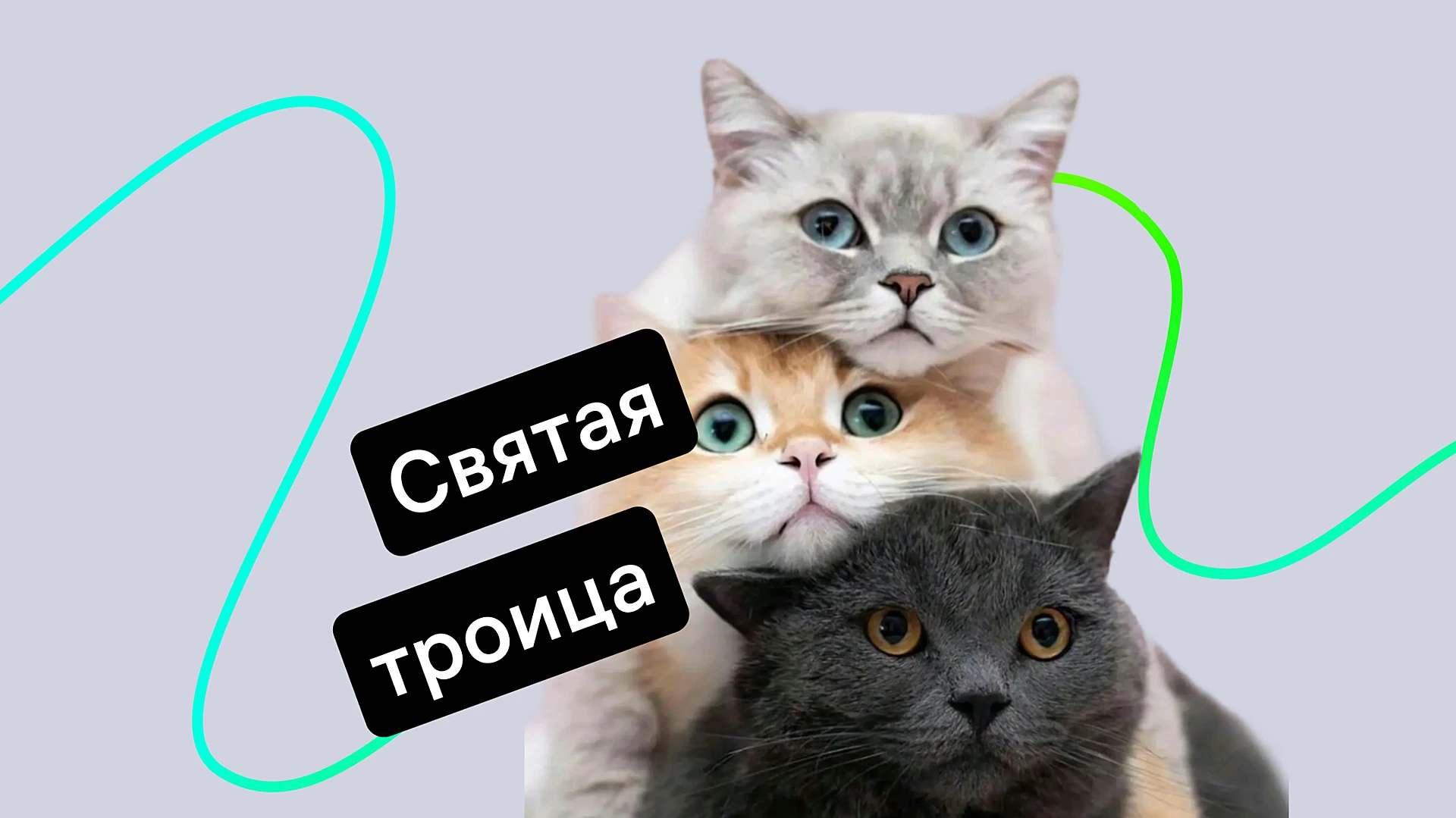 tri-poleznye-funktsii-jivo-o-kotorykh-vy-mogli-ne-znat