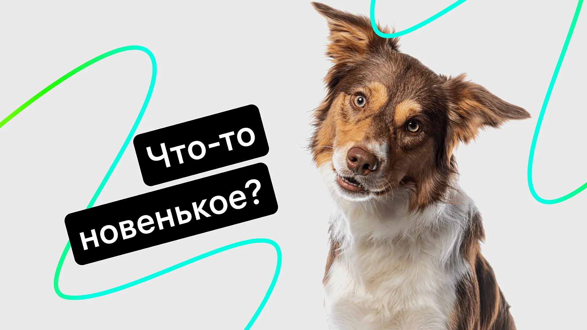 Обновления в продукте: быстрые уведомления о лидах, новые возможности ИИ-ассистента, галерея попапов к Черной пятнице