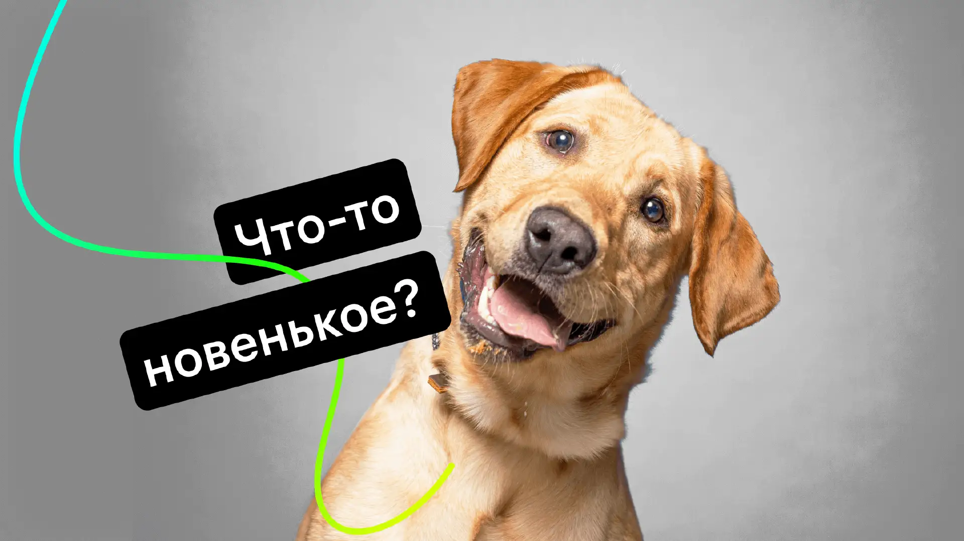 obnovleniya-v-produkte-bystrye-uvedomleniya-o-lidakh-novye-vozmozhnosti-ai-assistenta-galereya-popapov-k-chernoy-pyatnitse