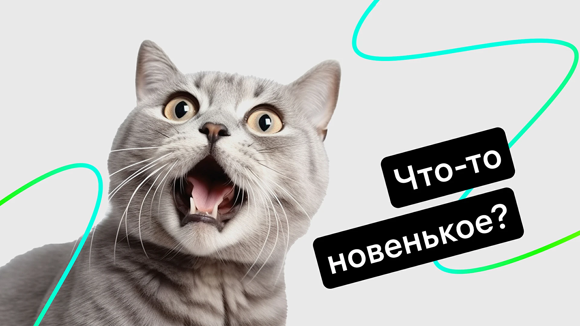 Новинки в Jivo: ссылка-приглашение, усовершенствованная статистика и сводный отчёт