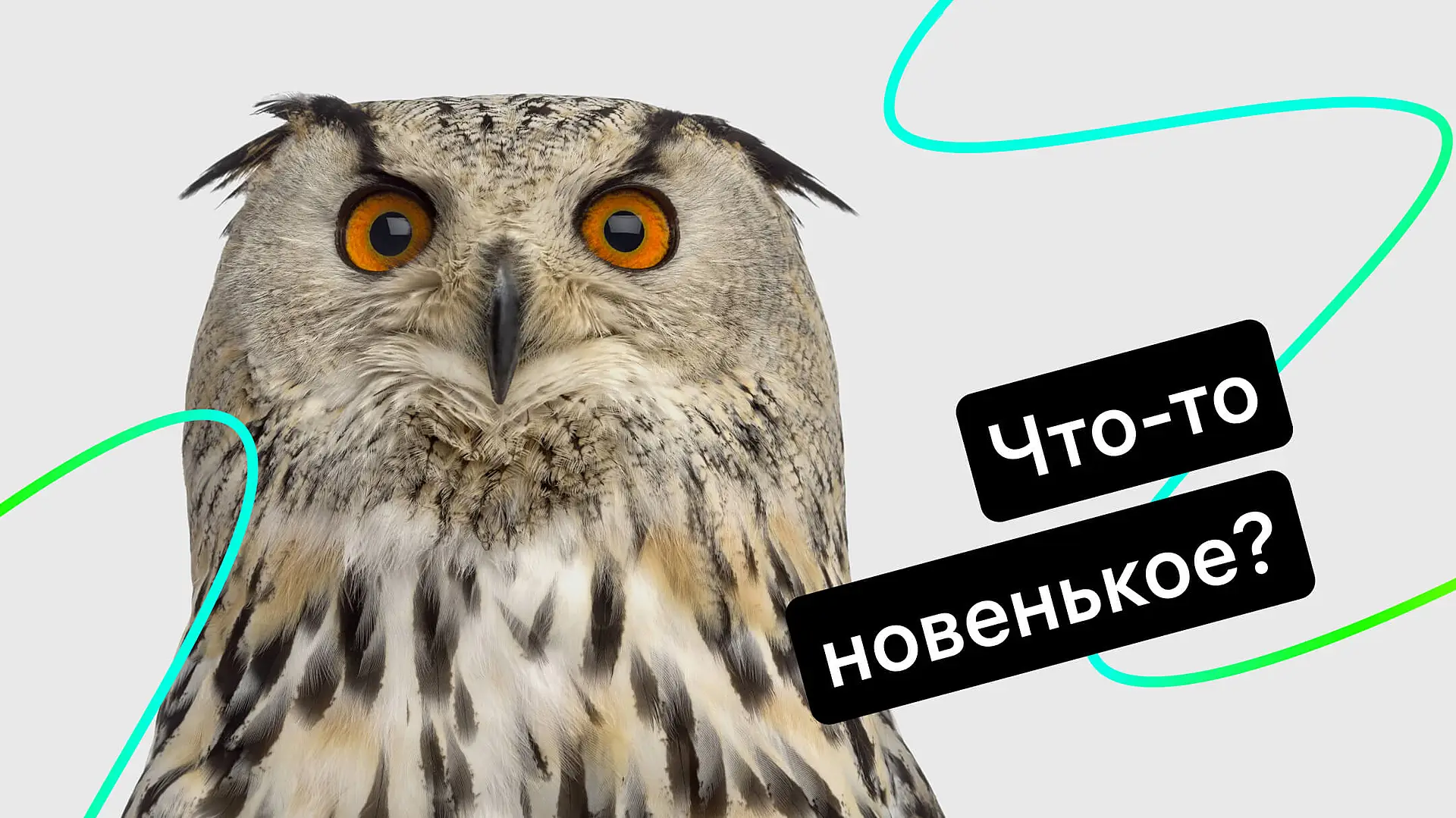 Новинки в Jivo CRM: задачи на Android, категории клиентов и удаление сделок