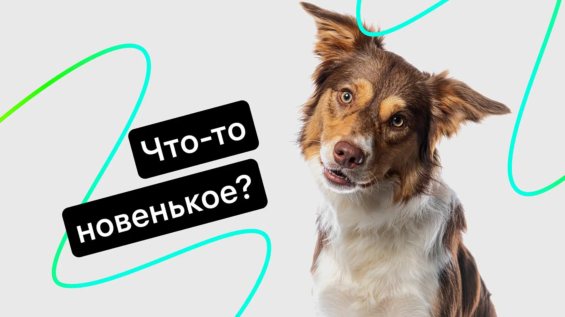 novinki-v-jivo-sdelki-obnovlenie-zadach-i-import-klientov