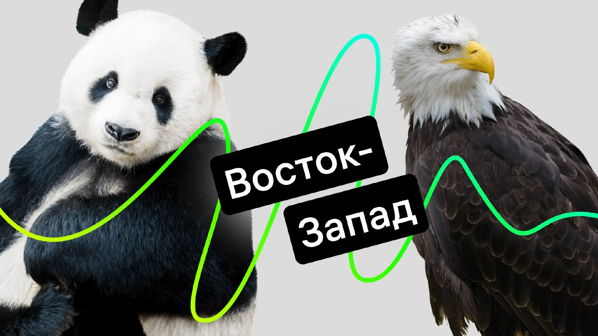 DeepSeek или ChatGPT: какая нейросеть лучше