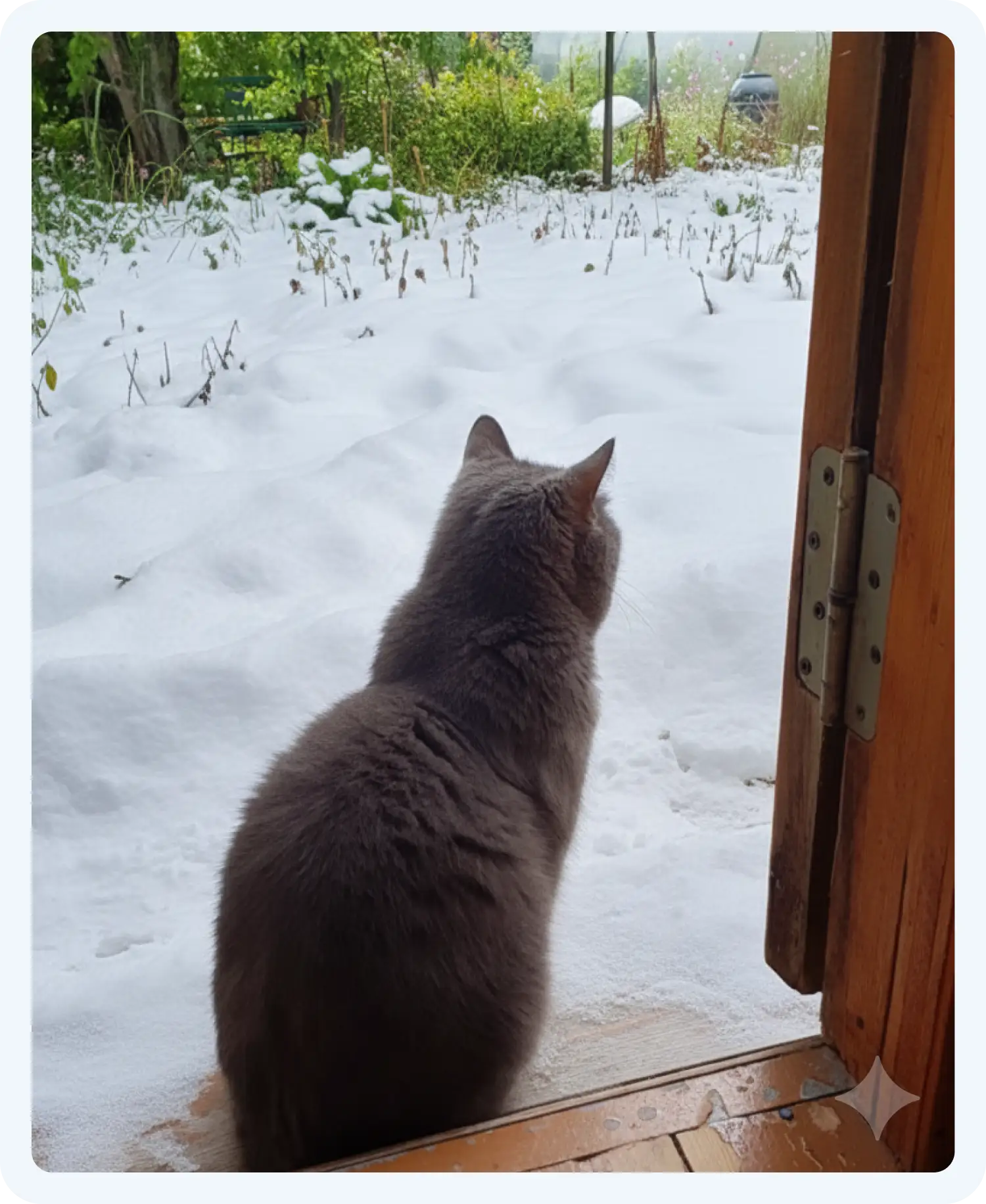 Нейросеть Нано Банана плохо справилась с задачей по смене сезона на фото