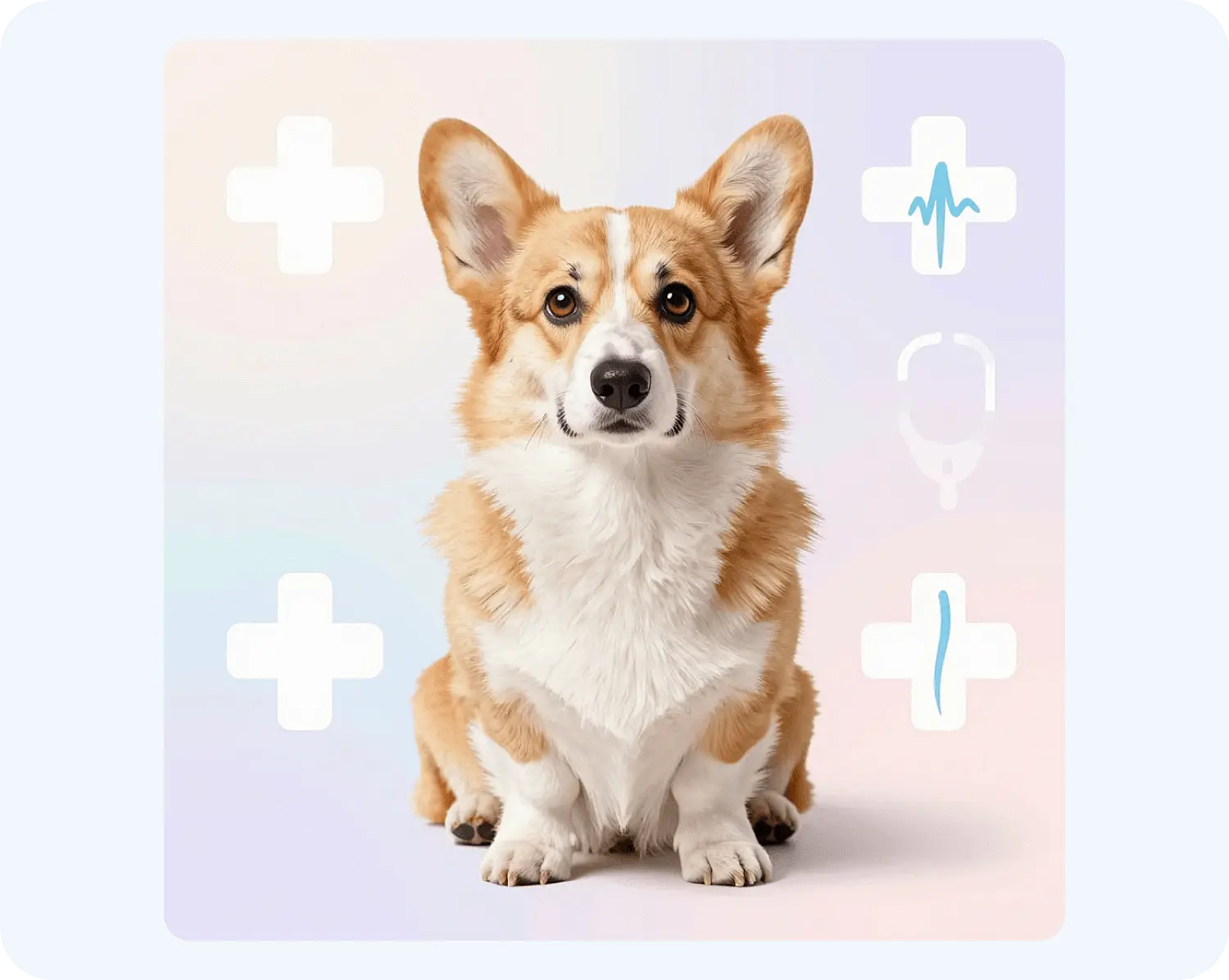 Нейросеть Алиса создала картинку с корги