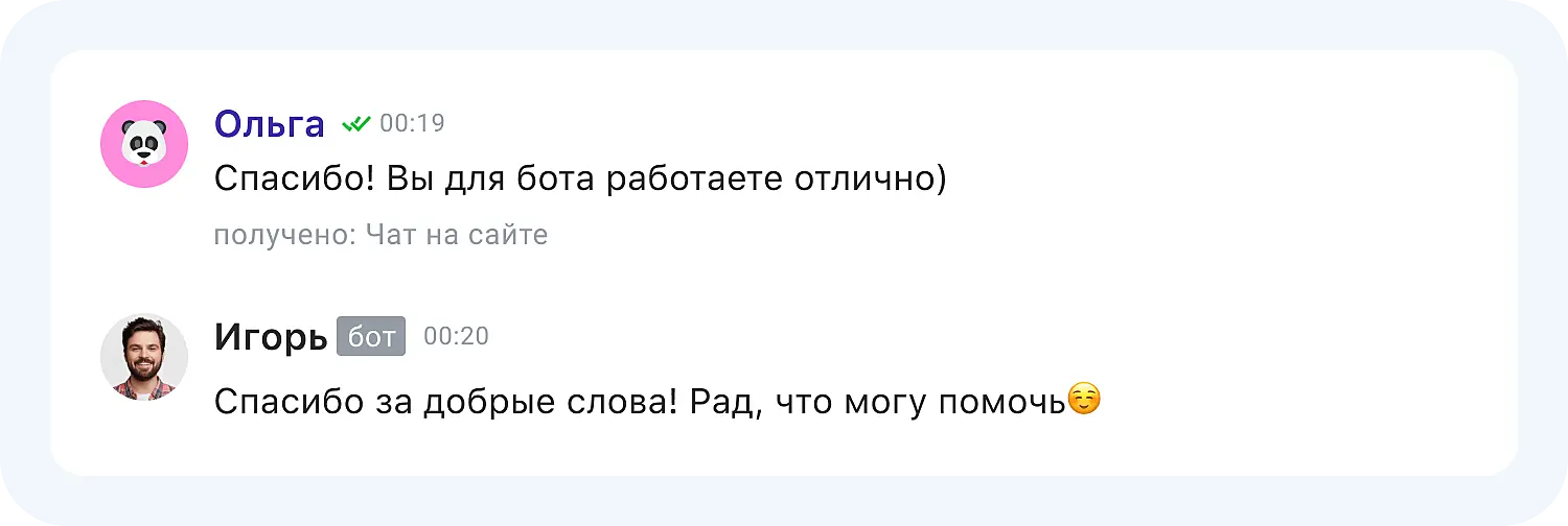 Мнение пользователя о работе ИИ чат-бота для поддержки
