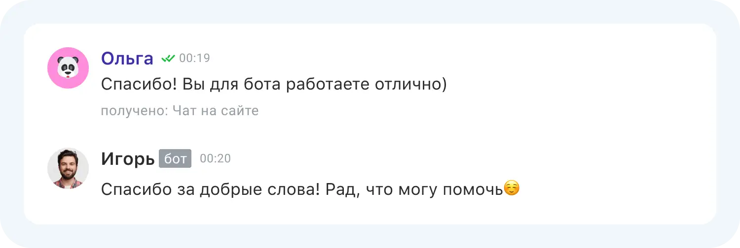 Мнение пользователя о работе ИИ чат-бота для поддержки