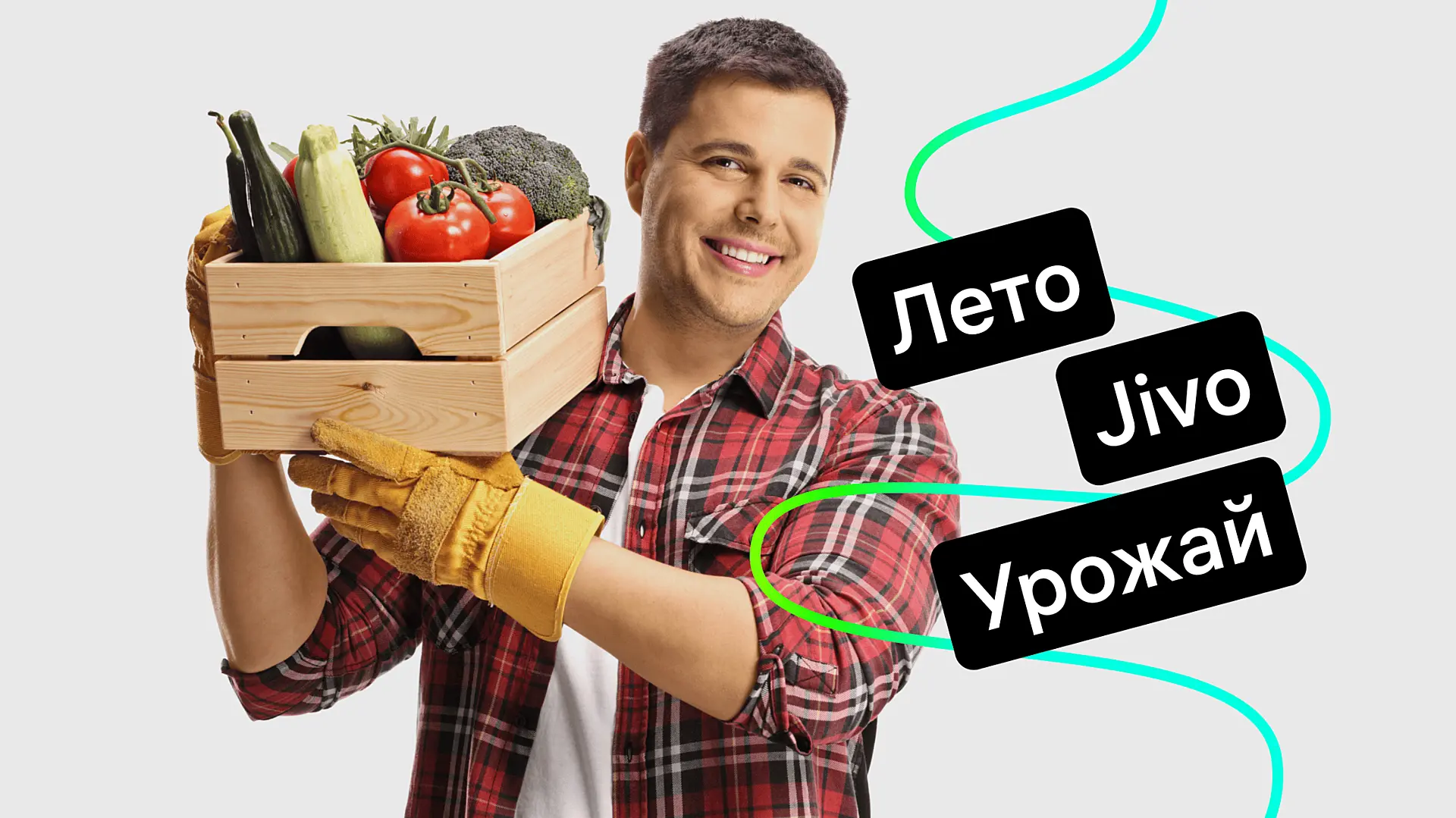 obnovleniya-jivo-nastroyki-razmescheniya-chata-v-mobilnoy-versii-otklyuchenie-zvuka-i-redaktirovanie-tekstov-v-vidzhete-avtomaticheskoe-kopirovanie-nastroek-kanala