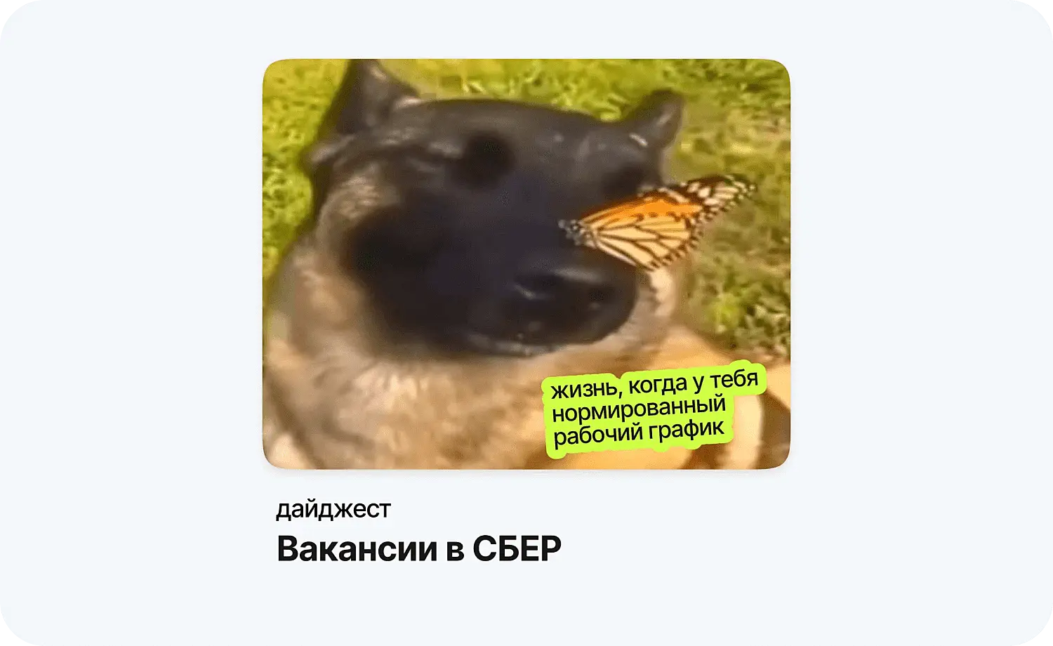 Добрый контент притягивает поколение Z