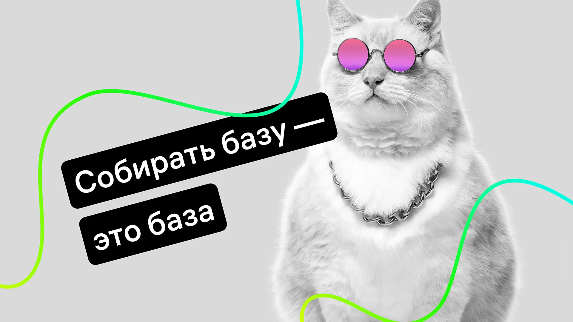 14-sposobov-sobrat-email-bazu-kotoraya-budet-prinosit-postoyannye-prodazhi