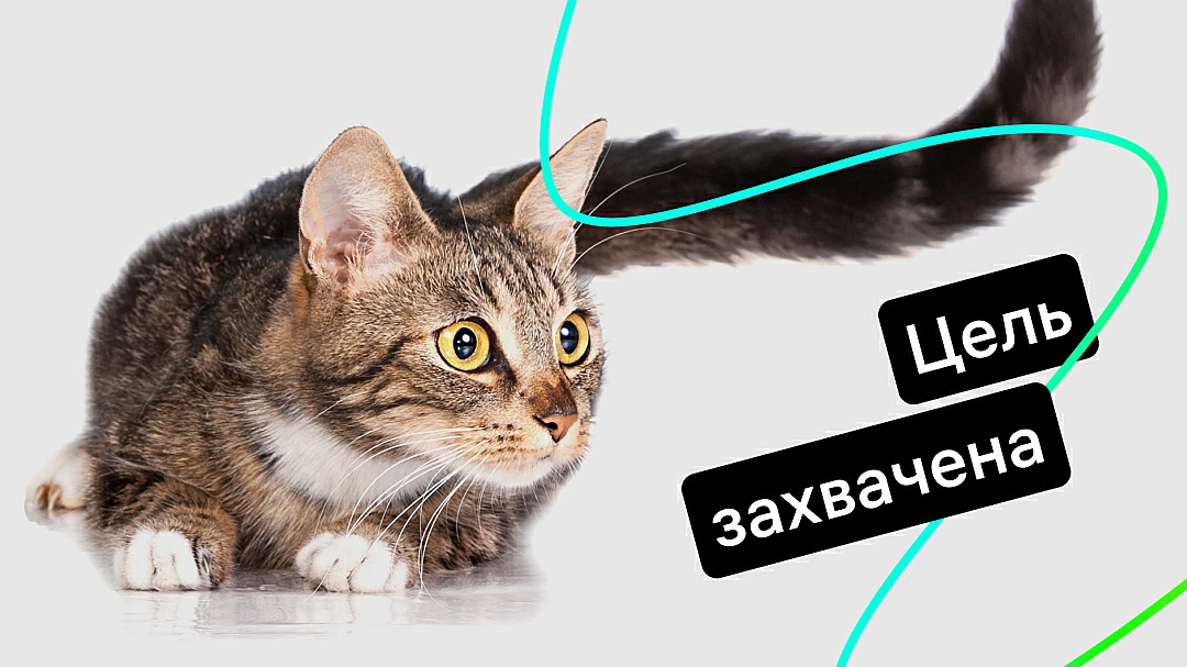 retargeting-chto-eto-prostymi-slovami