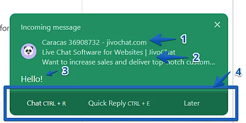 https://images.jivosite.com/help/EN/working-in-the-app/working-new3.png