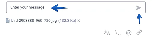 https://images.jivosite.com/help/working_in_the_app/uaanew13.png